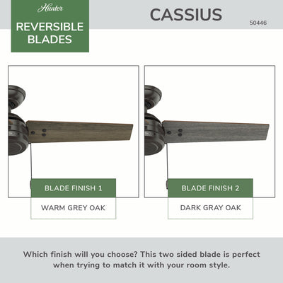 44 inch Cassius Noble Bronze Damp Rated Ceiling Fan and Pull Chain