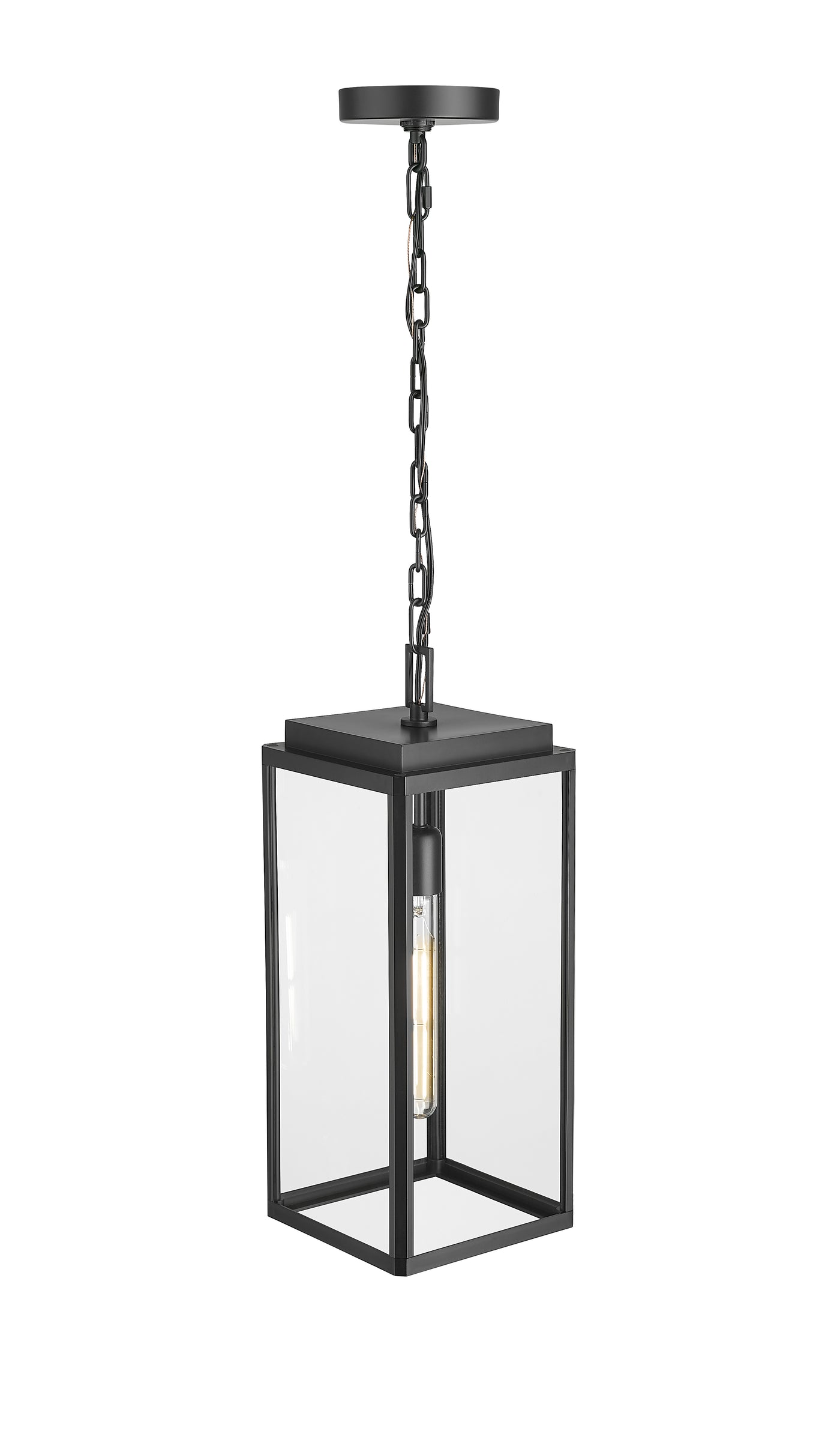 19.5'' Alpharetta Powder Coated Black 1 Light Hanging Lantern