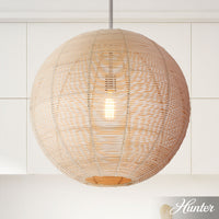 Xidane 12-inch 1-light Brushed Nickel Globe Pendant with Clear Glass