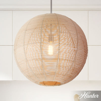 Xidane 12-inch 1-light Brushed Nickel Globe Pendant with Clear Glass