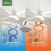 44 inch Kennicott Fresh White Damp Rated Ceiling Fan and Wall Control