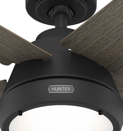 52 inch Burroughs Matte Black Ceiling Fan with LED Light Kit and Handheld Remote