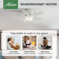 42 inch Newsome Fresh White Low Profile Ceiling Fan with LED Light Kit and Pull Chain