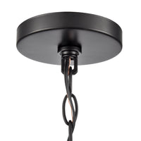 20'' Luxio Powder Coated Black 1 Light Hanging Lantern