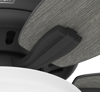 52 inch Newsome Matte Black Ceiling Fan with LED Light Kit and Pull Chain