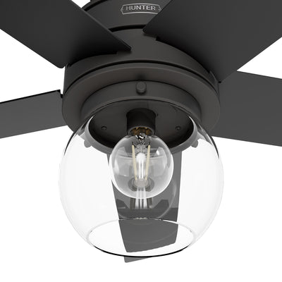 52 inch Xidane Matte Black Ceiling Fan with LED Light Kit and Handheld Remote