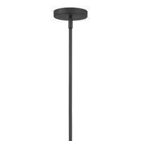 9'' Tulara Matte Black 1 Light Pendant