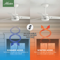 36 inch Cassius Fresh White Damp Rated Ceiling Fan and Pull Chain