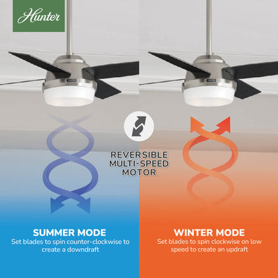 44 inch Dempsey Brushed Nickel Ceiling Fan with LED Light Kit and Handheld Remote