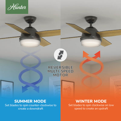 44 inch Dempsey Noble Bronze Ceiling Fan with LED Light Kit and Handheld Remote