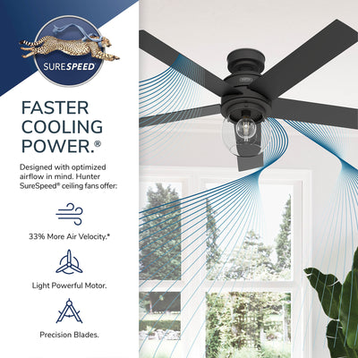 52 inch Xidane Brushed Nickel Ceiling Fan with LED Light Kit and Handheld Remote