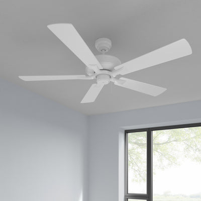 52 Inch Brisden AC Matte White Indoor Ceiling Fan 5-Blade Reversible