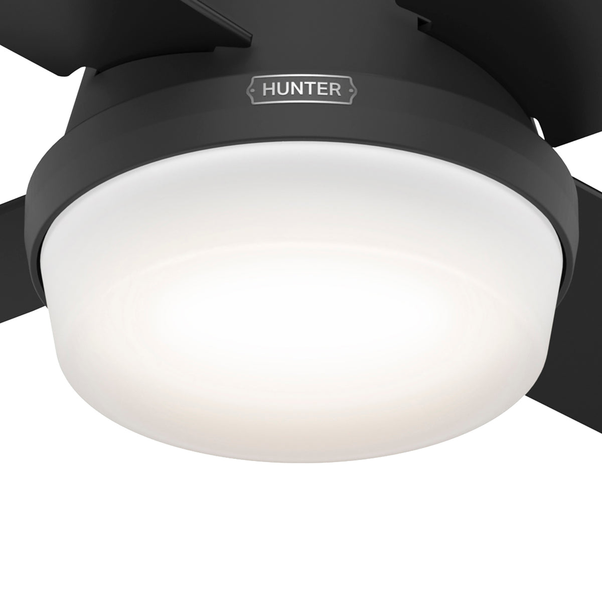 44 inch Dempsey Matte Black Low Profile Ceiling Fan with LED Light Kit and Handheld Remote