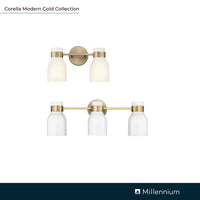 22.4'' Corella Modern Gold 3 Light Bath Vanity