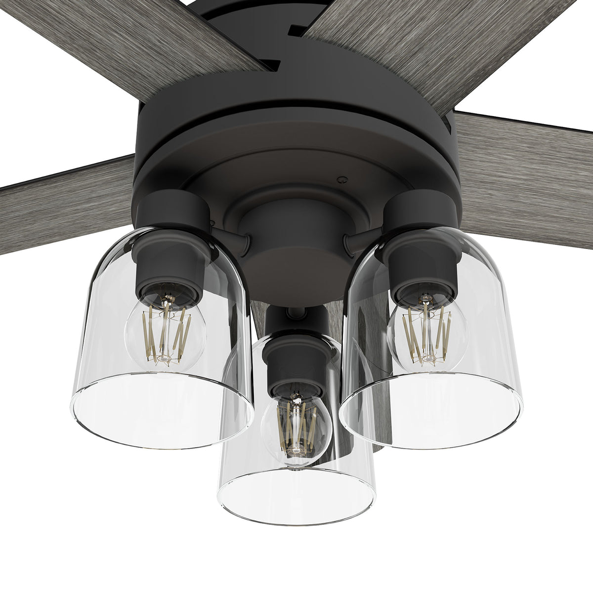 52 inch Lochemeade Matte Black Ceiling Fan with LED Light Kit and Handheld Remote