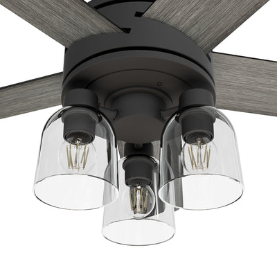 52 inch Lochemeade Matte Black Ceiling Fan with LED Light Kit and Handheld Remote