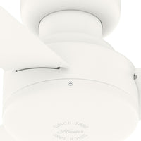 44 inch Presto Matte White Low Profile Ceiling Fan and Wall Control