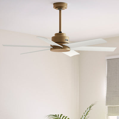 52 inch Kennicott Luxe Gold Damp Rated Ceiling Fan and Wall Control