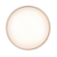 5.25'' Rosata White  Light Flush Mount
