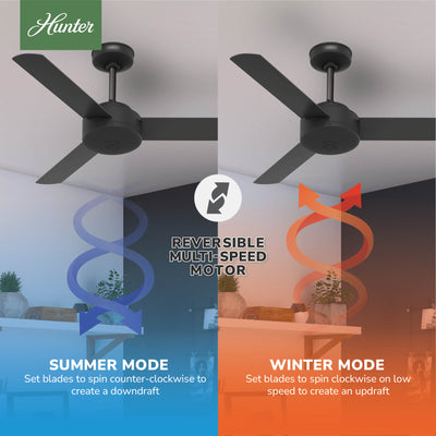 44 inch Presto Matte Black Ceiling Fan and Wall Control