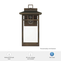 Yancy House 17-inch 1-light Matte Bronze Outdoor Wall Light with Clear Glass