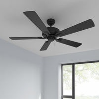 52 Inch Brisden AC Matte Black Indoor Ceiling Fan 5-Blade Reversible