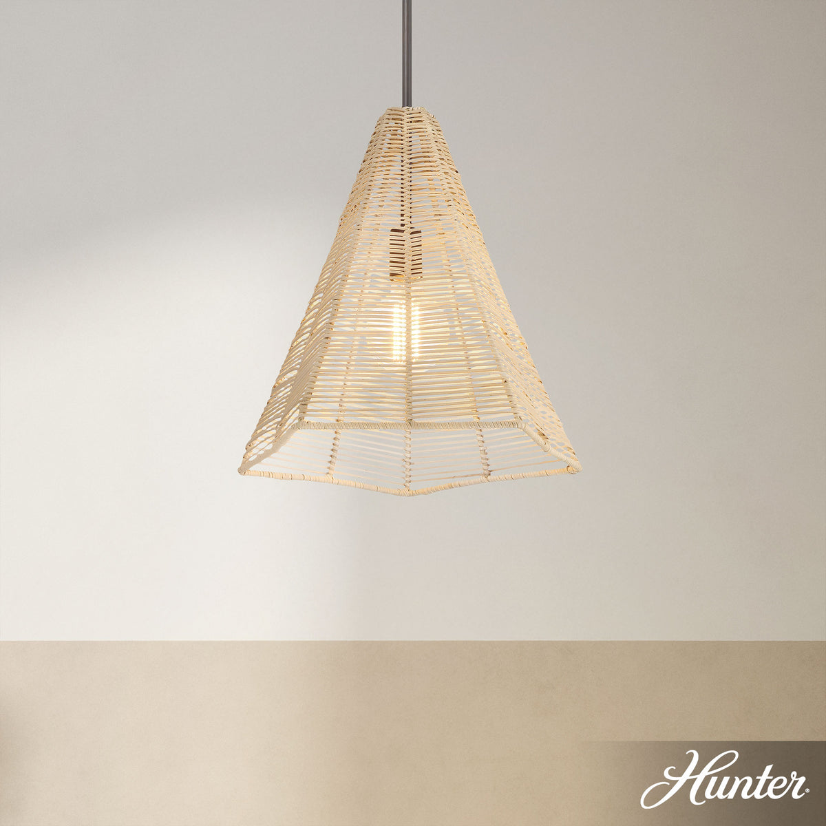 Doherty 6-inch 1-light Natural Black Iron Pendant