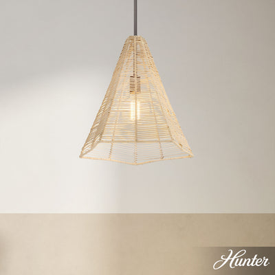 Doherty 6-inch 1-light Natural Black Iron Pendant