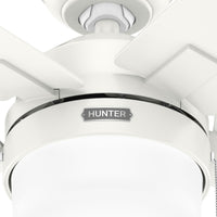 52 inch Anisten ENERGY STAR® Fresh White Ceiling Fan with LED Light Kit and Pull Chain