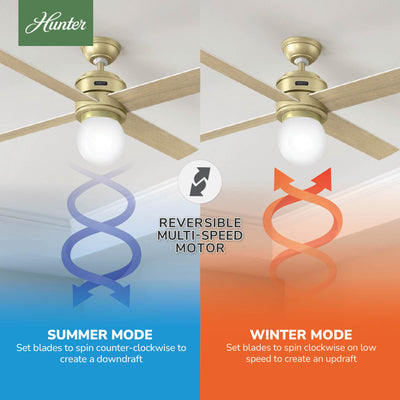 52 inch Hepburn Modern Brass Ceiling Fan with LED Light Kit and Wall Control