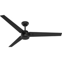 60 inch Cassius ENERGY STAR® Matte Black Damp Rated Ceiling Fan and Wall Control