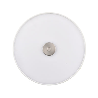 7.75'' Guyten Brushed Nickel 2 Light Flush Mount