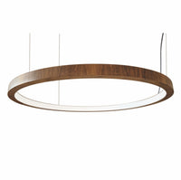 1.18'' Decorative Frame LED Accord Pendant Light