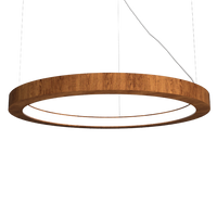 1.18'' Decorative Frame LED Accord Pendant Light