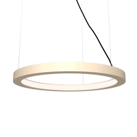 1.18'' Decorative Frame LED Accord Pendant Light