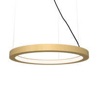 1.18'' Decorative Frame LED Accord Pendant Light