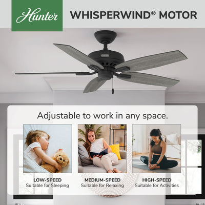 52 inch Newsome Matte Black Ceiling Fan and Pull Chain