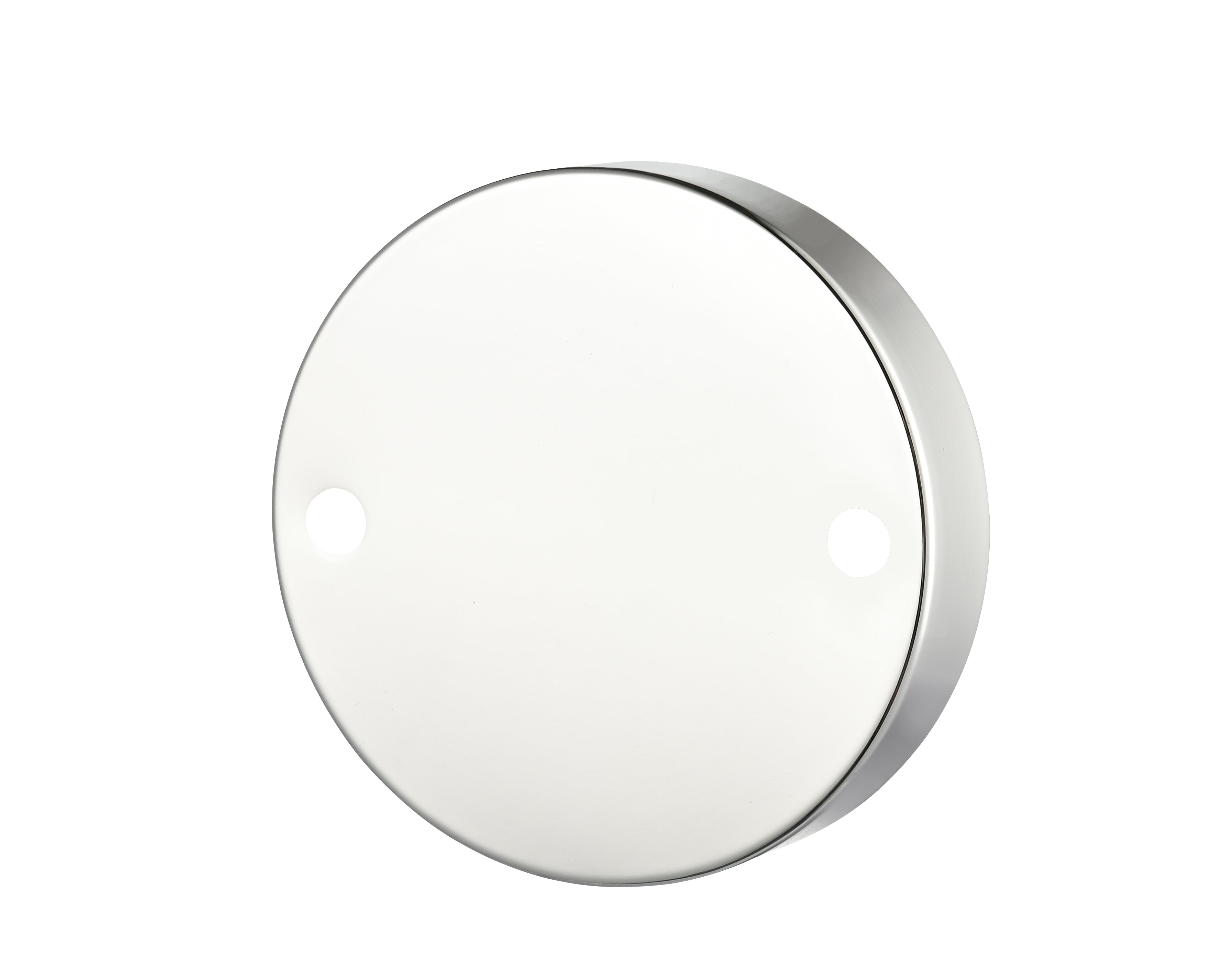 13.5'' Camellia Polished Nickel 2 Light Bath Vanity