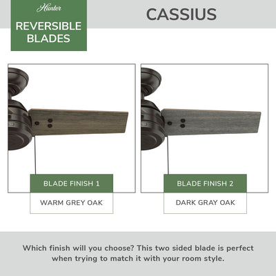 36 inch Cassius Noble Bronze Damp Rated Ceiling Fan and Pull Chain
