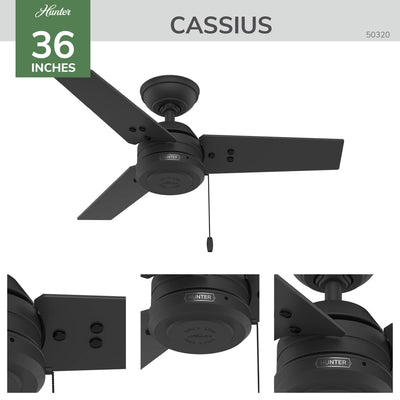 36 inch Cassius Matte Black Damp Rated Ceiling Fan and Pull Chain