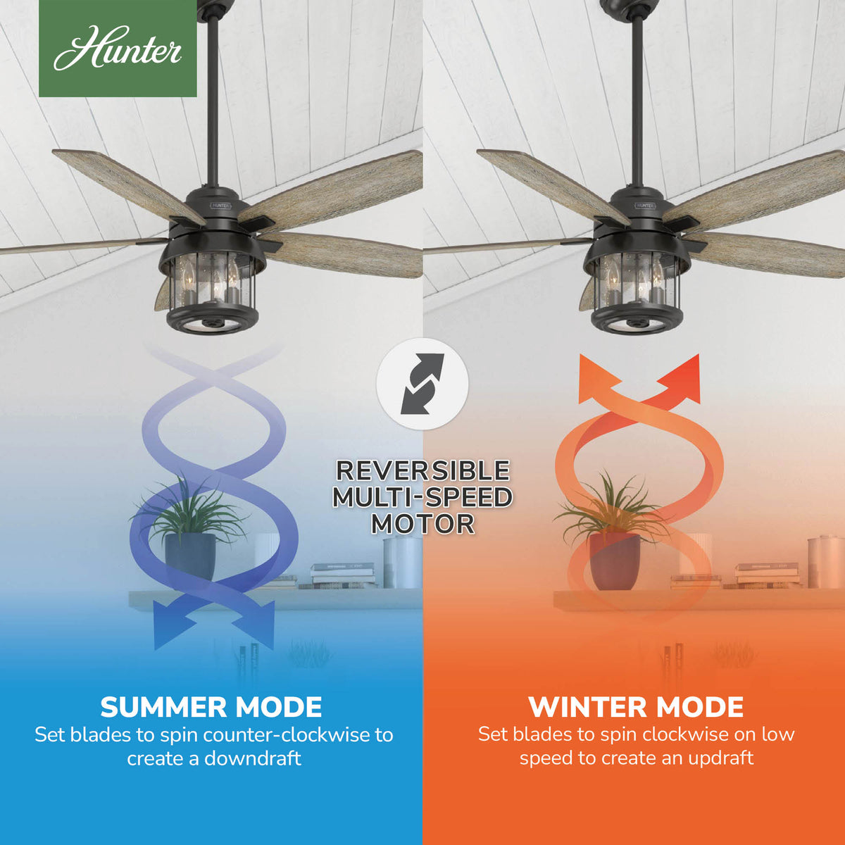 52 inch Coral Bay Noble Bronze Damp Rated Ceiling Fan with LED Light Kit and Handheld Remote
