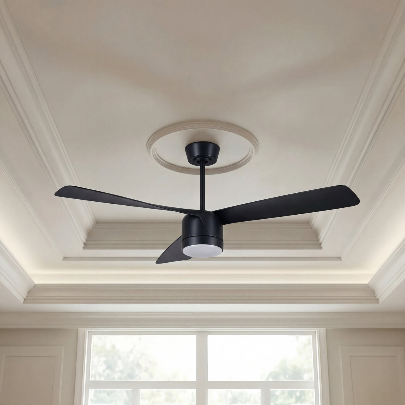56 Inch 1 Light LED Indoor Outdoor Black Fan with Remote