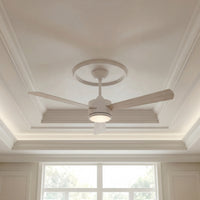 52 Inch DC White Fan with Reversible White Washed Oak Blades and Remote