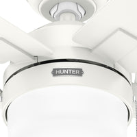 52 inch Anisten Fresh White Ceiling Fan with LED Light Kit and Pull Chain