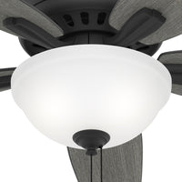 52 inch Newsome Matte Black Ceiling Fan with LED Light Kit and Pull Chain