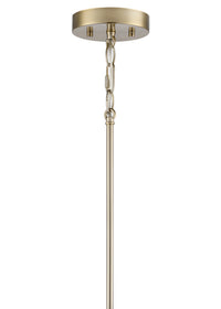 5.75-inch Strayhan Modern Gold 1-Light Clear Glass Pendant Light