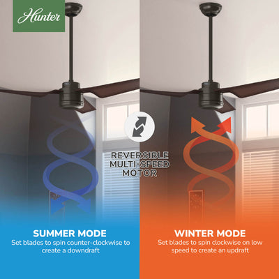 52 inch Cabo Frio New Bronze Damp Rated Ceiling Fan and Wall Control