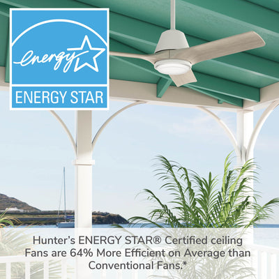 44 inch Aeronaut  Wi-Fi ENERGY STAR® Matte Black Damp Rated Ceiling Fan with LED Light Kit and Handheld Remote