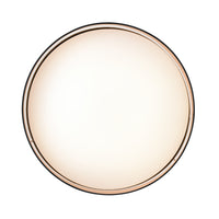 5.25'' Rosata Black  Light Flush Mount