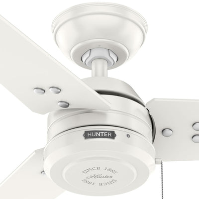 36 inch Cassius Fresh White Damp Rated Ceiling Fan and Pull Chain